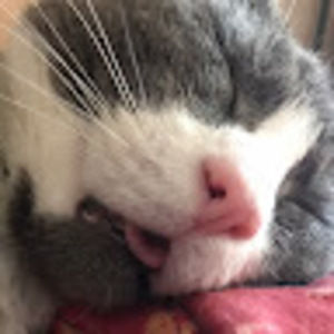 Meet your Posher, Genevieve